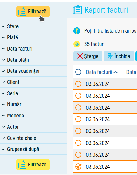 Cum verifici transmiterea la eFactura - pasul 5