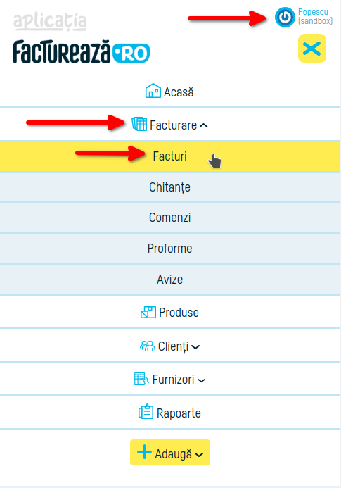Cum verifici transmiterea la eFactura - pasul 3