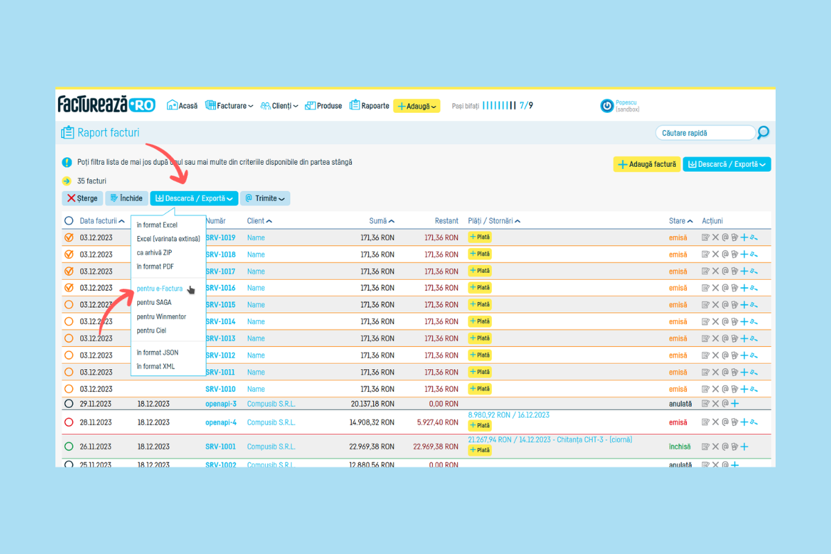 Descărcare facturi multiple în format e-factura - pasul 2